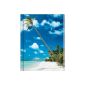 Notebook - Blank Book - Palm beach (Hardcover)