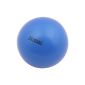 The ball for the home workout!