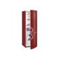 Gorenje RK61821R cooling-freezer / A ++ / refrigerator compartment: 230 L / freezer: 92 L / Vulcano red / Cool`n`fresh drawer / interior lighting / Eco Top Ten (Misc.)