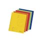 Herlitz 11037181 Schnellhefter A4 folded carton assorted colors 10 Pack (Office supplies & stationery)