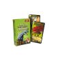 Bioviva - 0105003112 - Games Society - Dino Challenge - Green (Toy)