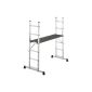Hailo 1056-001 scaffold and ladder ProfiStep multi 2 x 6 rungs (tool)