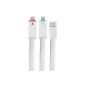 VEO | Flat Cable 8-pin charging and synchronization with LED charge indicator for iPhone 6, 5, 5s, 5c, iPad Mini, iPad Mini 2, iPad Air, iPad 5 4G iPad, iPod Touch 5G Nano 7G , 1M, WHITE (Electronics)
