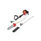 Review of Red Fox LRC52 gasoline pruners Astkettensäge 3 PS and GS 52cm³