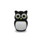 818 shop No10700010032 Hi-Speed ​​2.0 USB flash drives 32GB Owl bird owl 3D black (Electronics)