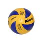MIKASA young ball MVA 350SL, multicolored, 5 (Equipment)