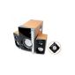 Zoppa II 2.1 Speaker Package 1600W MT3319K (Electronics)
