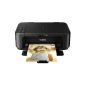Canon Pixma MG2250 All-in-one multifunction (printer, copier, scanner, USB 2.0) (Personal Computers)