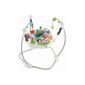 Fisher-Price Jumperoo (Baby Care)
