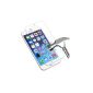 Film Protection Glass Tempered Glass Iphone 4 4S + wipe (Electronics)