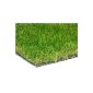 Real grass and a great seller