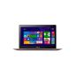 Great Ultrabook to top Price