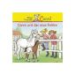 Episode 40: Conni and the new foal (Audio CD)