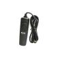 RS-60E3 Neewer® Remote Switch Shutter Release with the 1 m long cable for Canon EOS 3, D2000 Rebel XT 400D Digital Rebel XSi 450D Rebel XSi 500D Rebel T1i 550D Rebel T2i Rebel T3i 650D 600 700D Rebel Rebel T4i T5i 100D Rebel SL1 1000D Rebel XS 1100D Rebel T3 1200D Rebel T5 (Accessories)