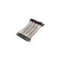 40 x 10cm Female To Female Dupont Jumper Cable Wires (Toy)