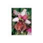 Wild Orchids of France: Expanding Horizons (Paperback)