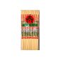 20 CHOPSTICKS PLASTIC - very decorative Chopsticks (household goods)