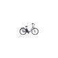 Prophete Ladies E-Bike Navigator 1.5 Shimano Nexus 7-speed, silver gray / Matt, 46 cm, 52385-0111 (equipment)