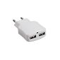 2-TECH DUAL USB charger 3100mA used as power supply / charger cable / charger - Charging Adapter 3.1A Suitable for iPad, iPhone, Samsung Galaxy S2 S3 S4, Android Phones Tablets, Smartphone, mobile phone, PSP, GoPro, GPS, Kindle in white with control LED (Electronics)