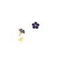 Forget-me-Pins star center (Jewelry)