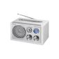 Scott RX 19 radio tuner (FM / AM Tuner, SD / MMC card reader, USB) white (Electronics)