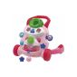 Chicco Toy Trott'Gym early age, color selection (Baby Care)
