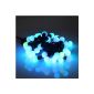 100 LED Color Changing chain for outdoor and indoor use, light color: RGB mix