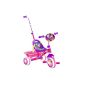 Stamp - Disney - J899023 - Tricycle - Minnie with Cane and Baquet - 8.5 