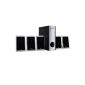 OneConcept - Speaker System 5.1 Home Cinema and Hifi 105W RMS surround sound (DVD connection, RCA, Bass-reflex) - Design Deco black and white (Electronics)