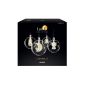 KRINNER Lumix Light Balls 76000 4x blown glass balls with warm white LED, wireless remote control and batteries (household goods)