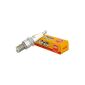 NGK spark plugs 7822 Candle Lighting BPR6ES (Automotive)