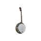 A banjo medium-range study to the quality / price attractive