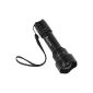 SecurityIng® High Power 10W 1200 Lumens Zoomable LED torch with adjustable focus illumination lamp 3 modes flashlight for camping, hiking and Home Using (18650 battery is not included) (Misc.)