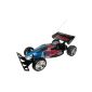 Modelco - 43757T-904 - Radio Control - Miniature Vehicle - Buggy RTR SMAB - 1/10 Scale (Toy)
