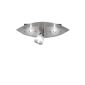 Paul Neuhaus 6670-55 Ceiling lamp, G9,1 x 40 W, 2 x 25 W (household goods)