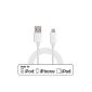[Apple MFi certification] --LP® USB Cable Charger original 8 pin / pin to lightning For synchronization, data transformation for iPhone 6 6More / 5 5S 5C / iPad 4 / Air / Mini / iPod touch ★ MFI Certified by Apple ★ entirely compatible with IOS 7.8, good quality-1m (White) (Electronics)