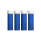 4-pack Extra Coarse Blue Micro Mineral
