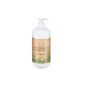 Health - 2024shaSoinXL - Family - Personal Hygiene - Shampoo Gingko and Olive Organic - 950 ml (Personal Care)