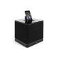 Arcam rCube speaker system / docking station for iPod Finish Black (Personal Computers)