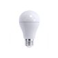 LEDs Light LED Bulb 9 W equivalent 60W E27 806 lm 3000K warm white 600314 (household goods)