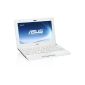 Asus R052C-WHI002S 25.7 cm (10.1 inches) Netbook (Intel Atom N2800, 1.8GHz, 1GB RAM, 320GB HDD, Intel GMA 3650, Win 7 Starter) white matt (Personal Computers)