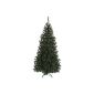 Black Box 382976-01 Trees Artificial Christmas Trento height 185 cm diameter 102 cm, 501 branches, PVC hard and soft needle (household goods)