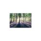 Enchanted forest // Maxi Poster 91.5 x 61 cm // Reinders shop # 24106