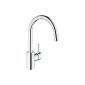 Grohe Concetto kitchen faucet shower Retractable High Rotation Range 360 ​​32663001 Starlight (Germany Import) (Tools & Accessories)
