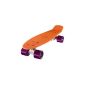 Ridge Skateboard 55cm Mini Cruiser Board with 59 mm wheels complete U Fully assembled (equipment)