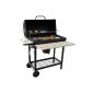 Bull BBQ - BBQ grill cart with lid Smoker charcoal grill (garden products)