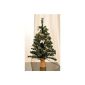 Christmas tree with 20 LED Light String - fully decorated - height approx 75cm