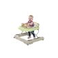 Babymoov Walker 2 in 1 Taupe / Green / Almond (Baby Care)