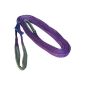 Silverline 675198 Carrying Strap 1 ton 3 mx 25 mm (Tools & Accessories)
