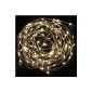 Pixnor 10M / 33FT 100 DC5V-LED waterproof LED copper star garlands with power adapter wire (warm white light)